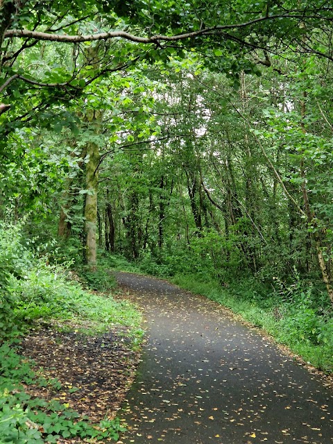 Parc Coetir Bargod (Bargoed Woodland Park)