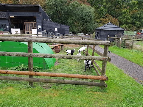 Ashlyn's Softplay and Farm Park