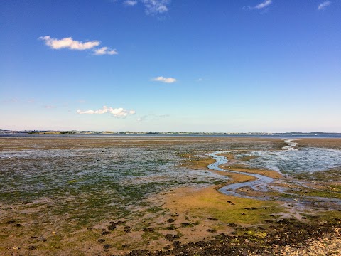 WWT Castle Espie