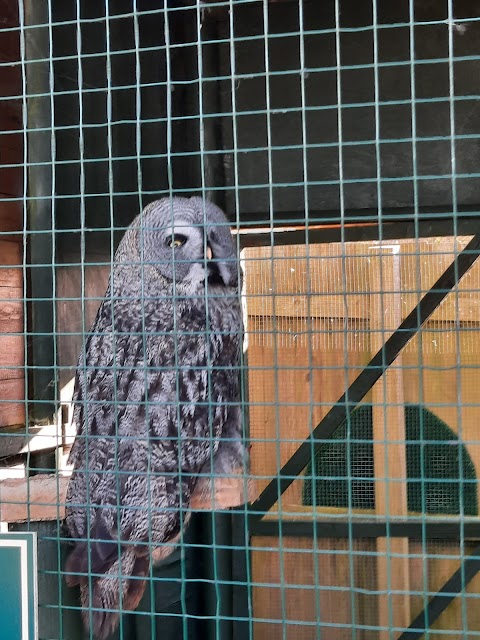 The Devon Bird of Prey Centre