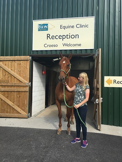 South Wales Equine Vets - Cardiff