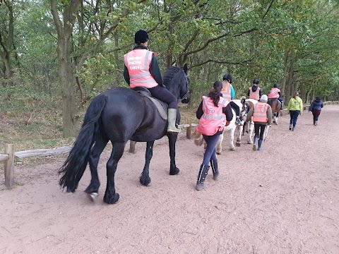 Sherwood Forest Trekking Centre