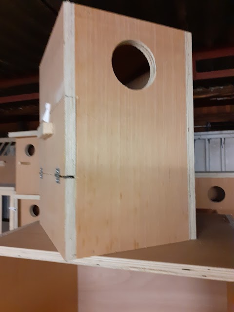 Nest Boxes by James