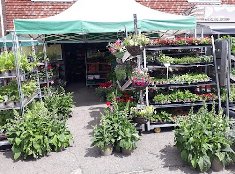 Clanfield Greengrocers & Florist (N. Hadwen)