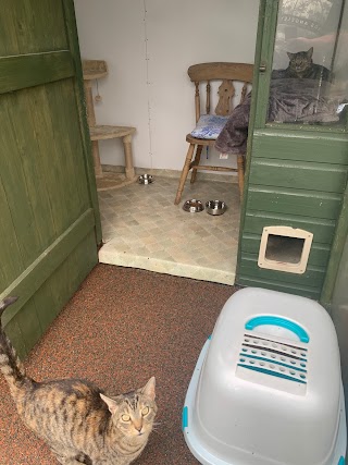 Andilees Boarding Cattery