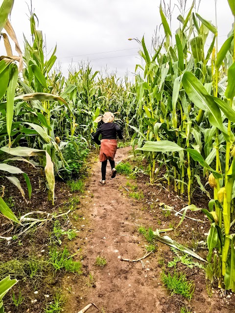 Play @ Lower Drayton Farm