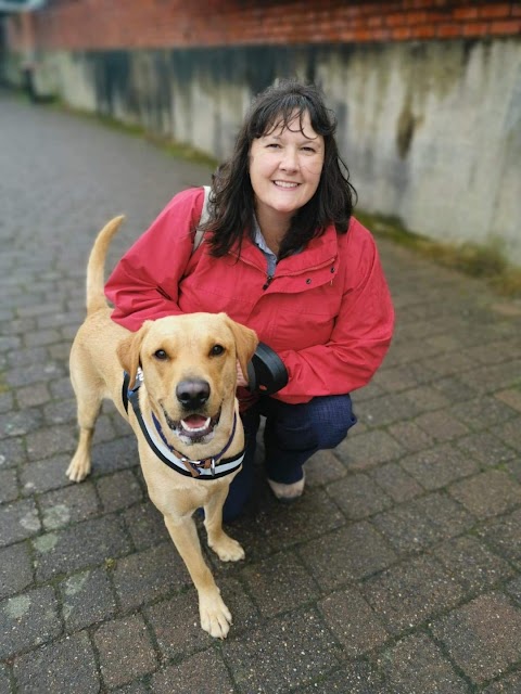 Happy Healthy Hounds - Dog Walkers & Pet Services