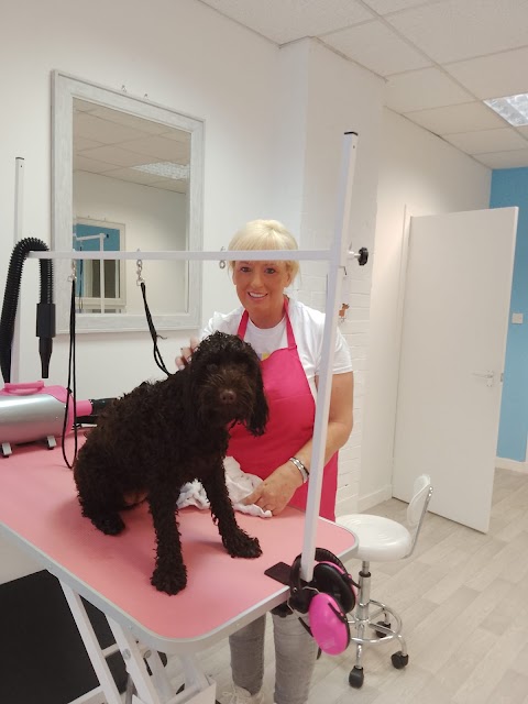 charlies perfect paws pet grooming spa and boutique