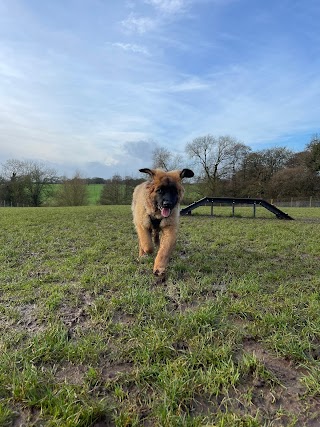 Paws N Play Dog Park