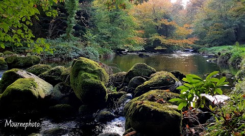 Mourne Park, Woodland Trust