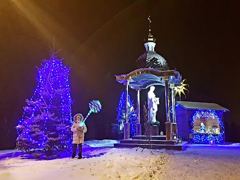 Великі Грибовичі, ВПЗ