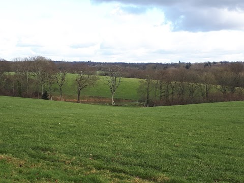 Cinder Hill Equine Clinic