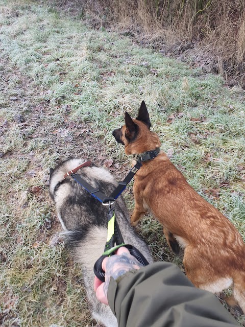 Clee Veterinary Centre