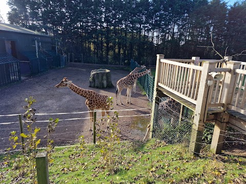 Blackpool Zoo