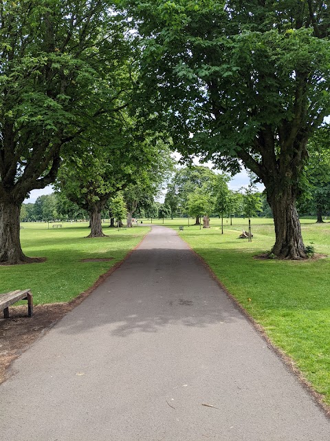 Llandaff Fields