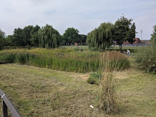 Selby Wildlife Pond