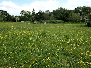 Callington Road Nature Reserve