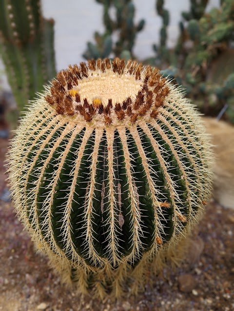 University of Leicester Botanic Garden