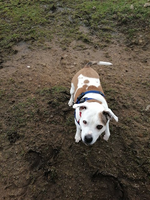 RSPCA Sheffield Animal Shelter