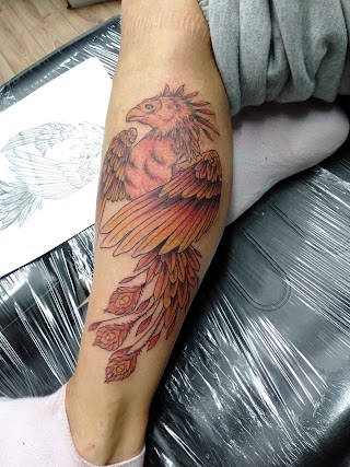 Phoenix Tattoo Studio