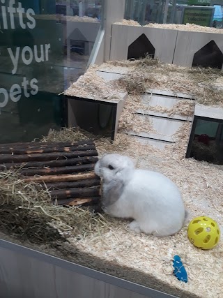 Pets at Home Chesterfield