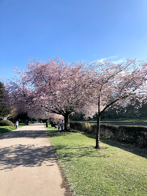 Crookes Valley Park