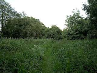 Kingsbury Meadow Local Nature Reserve