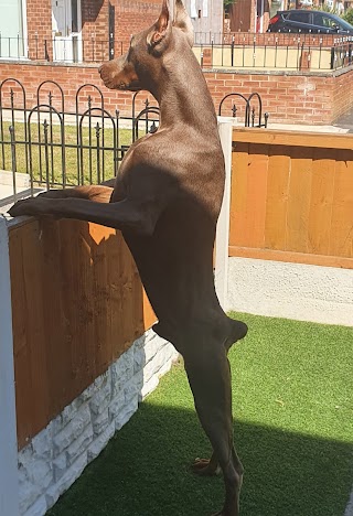 Woodbine Cottage Kennels