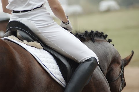 MCB Equestrian