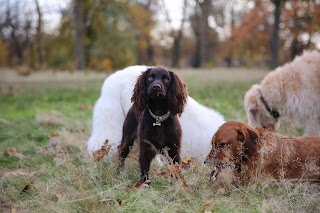 Agnes & Pavel