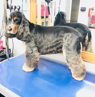 Natalie's Dog Grooming Centre