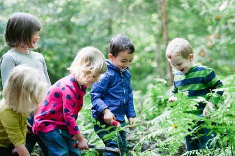 Forest Kindergarten Sevenoaks