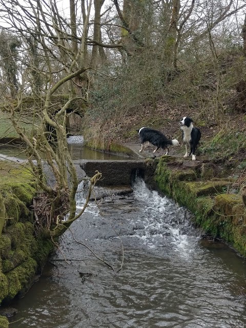 Earby Waterfalls Park