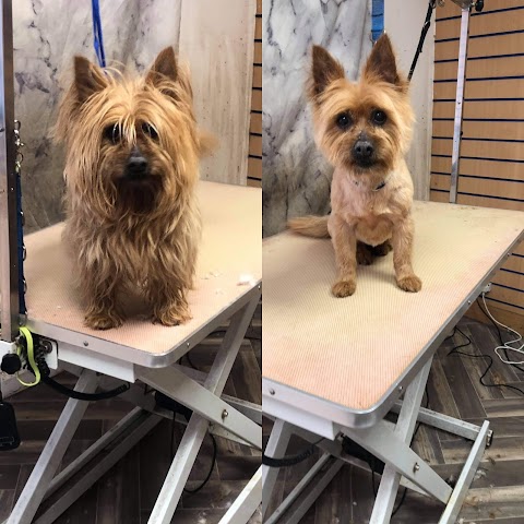 Scruffy Woofie Dog Grooming Salon