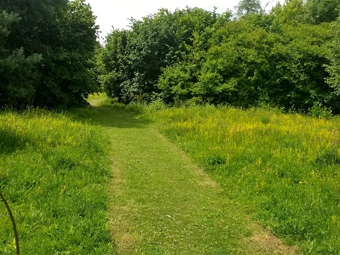 Radwell Meadows Country Park