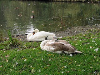 Kingfisher Lake