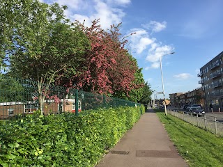 Rose Lane Primary School