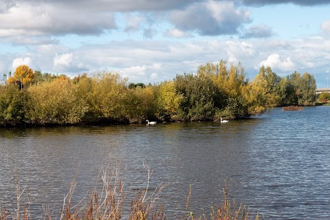 Tameside Local Nature Reserve