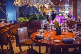 Novikov Restaurant & Bar