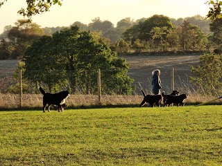 The Carisbrooke Vets Veterinary Surgery