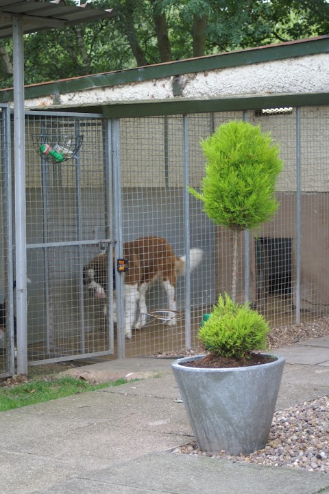 Treetops Kennels and Cattery