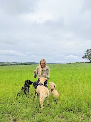 Percy and Bream Professional Dog Walking Services