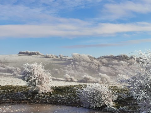 Malling Down Nature Reserve, Sussex Wildlife Trust