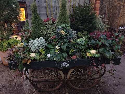 Petersham Nurseries Café, Richmond