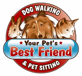 Your Pet's Best Friend