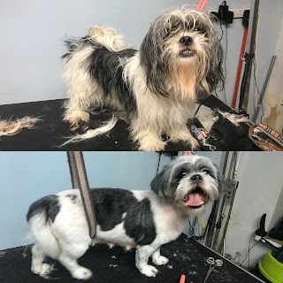 Shampooches & Set Dog Groomers