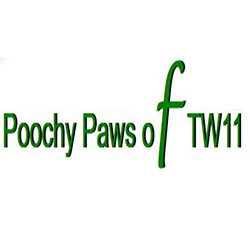 Poochy Paws of TW11