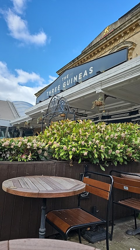 The Three Guineas, Reading