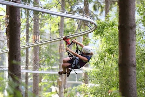 Roller Coaster Zipline