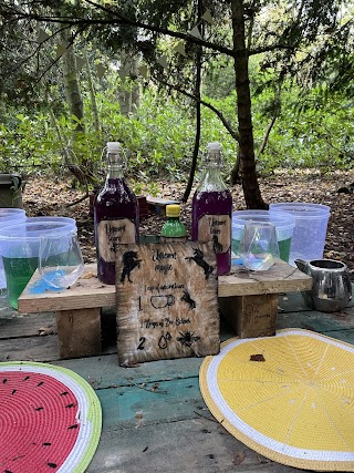 Into the Woods Forest School